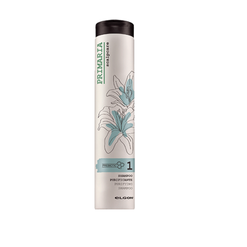 Shampoo Purificante con Zinc